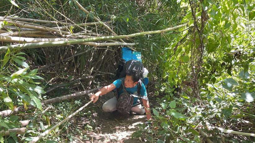 Phnom Penh: 2-Day Aural Mountains Hiking Adventure - Sunset camp in the forest, campfire stories, and wildlife sounds