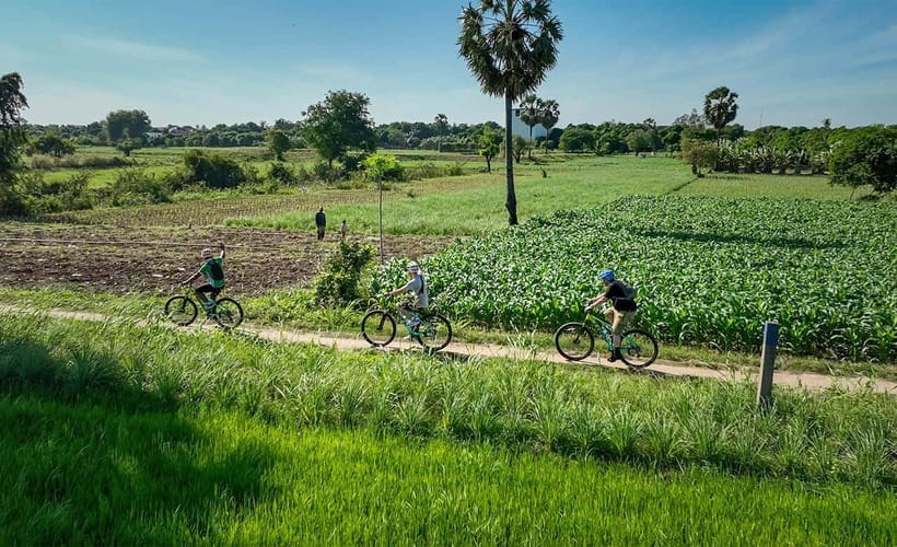 Phnom Penh: Bike & Boat Tour / E-Bike Available - Traditional village time: stilted homes and everyday culture