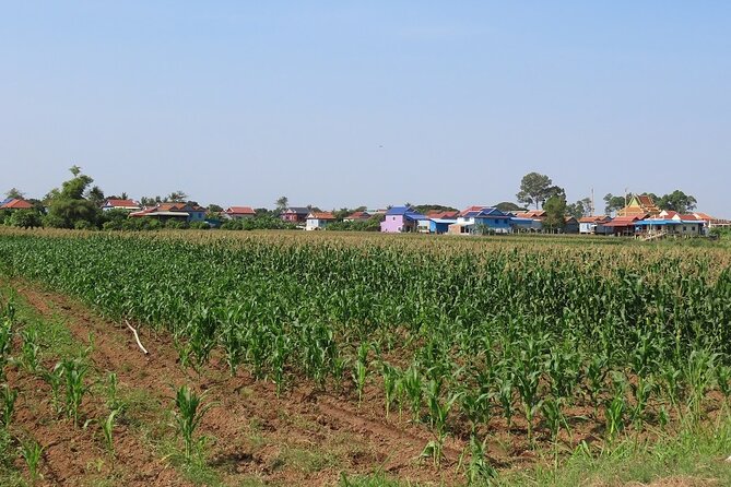 Phnom Penh Countryside Cycle Tour - Craft time: sedge mat weaving and silk weaving workshops