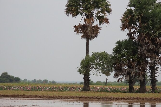 Phnom Penh Countryside Cycle Tour - Who should book this Phnom Penh countryside cycle tour