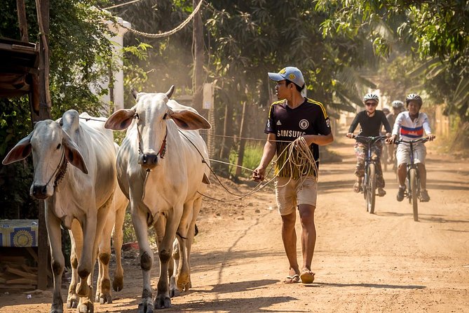 Phnom Penh: Cycling Adventure on Islands of the Mekong - Getting Out of Phnom Penh, One Ferry Ride at a Time