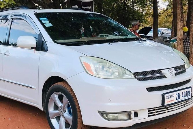 Phnom Penh to Siem Reap Private Car-English Speaking Driver - Skun spider market stop: weird photos and snack choices