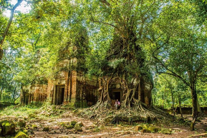 Prasat Thom, Koh Ker Group & Beng Mealea Full-Day Tour - Beng Mealea: a jungle temple that tells a different Khmer story