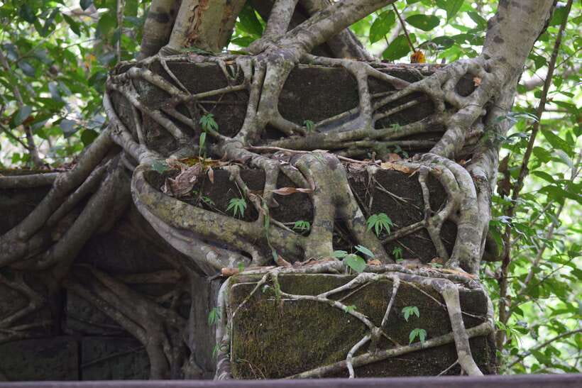 Prasat Thom, Koh Ker Group & Beng Mealea Full-Day Tour - Should you book this Prasat Thom, Koh Ker, and Beng Mealea tour?