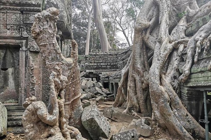 Preah Khan, Ta Prohm, Bayon Off Beaten Track - Why this off-beaten Angkor circuit works better than a big bus day