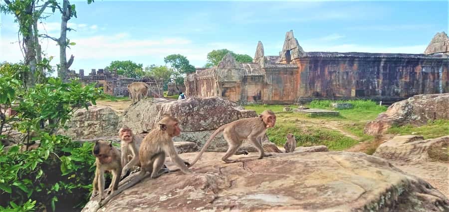 Preah Vihear Temple Koh Ker & BengMealea Tour from Siem Reap - Price and value: what $41 covers, and what costs extra