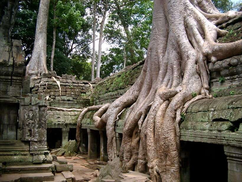 Private Angkor Sunrise, Guide Breakfast and Tuktuk included - Price and logistics: what $24 really gets you