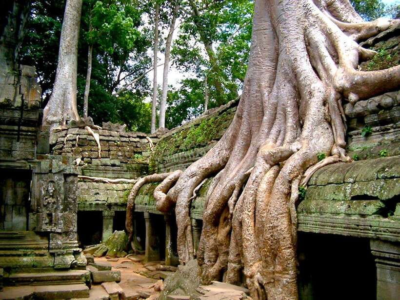 Private Angkor Sunrise, Guide Breakfast and Tuktuk included - Guide quality can make or break your Angkor day