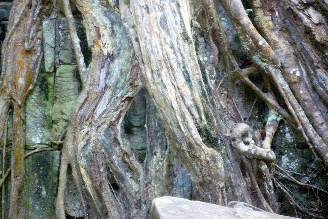 Private Angkor Wat Day Tour - Best of Angkor - Angkor Wat, explored beyond the postcard