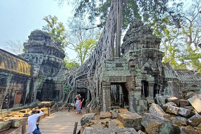 Private Angkor Wat Exploring Tour (Sunset or Sunrise) - Ta Prohm’s Tree Roots and Shaded Courtyards, The Most Cinematic Stop