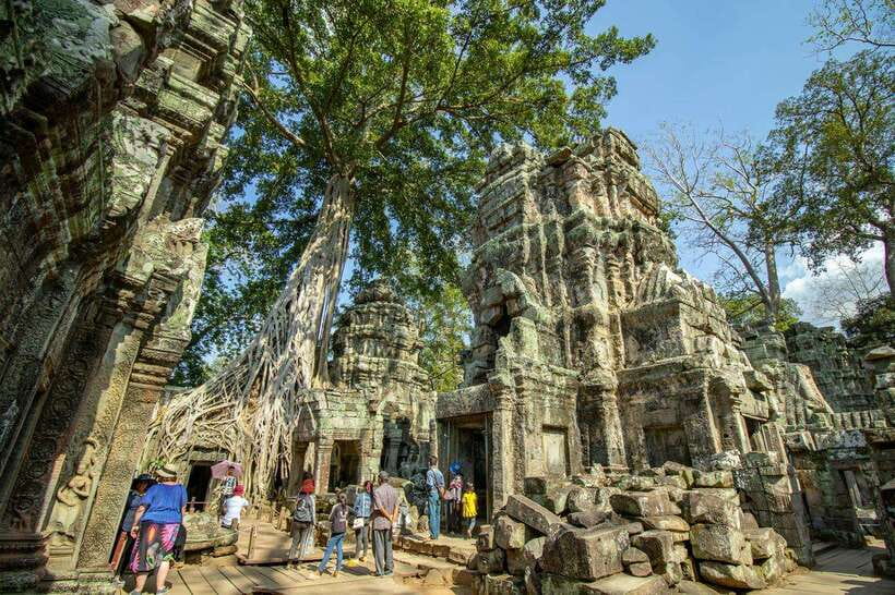 Private Angkor Wat Sunset Tour with Lunch and Snack Included - Ta Prohm: The Jungle Temple Look That Feels Alive