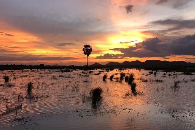 Private Full Day Tuk Tuk Tour in Battambang - Bamboo Train Battambang Through Rice Fields (Plus the Extra $5)