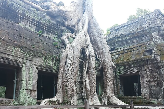 Private Guide In and Around Siem Reap: Custom tour - Angkor Wat: Morning Temple Time Without the Herd