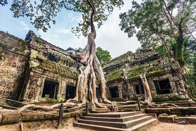 Private guided Full -day Angkor tour with sun set - Ta Prohm: the jungle reclaiming a temple