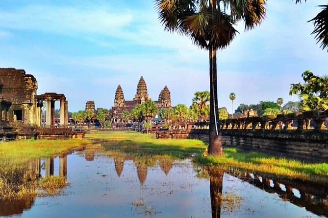 Private Guided Multi-Day Historical Tour in Temples of Cambodia - Ta Prohm at 7:00am, when the jungle steals the scene