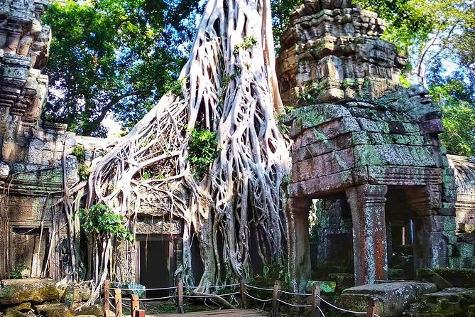 Private Guided Tours-Sunrise Angkor Wat, Ta Prohm, Bayon and more - Bayon at the end of the day, where the faces land