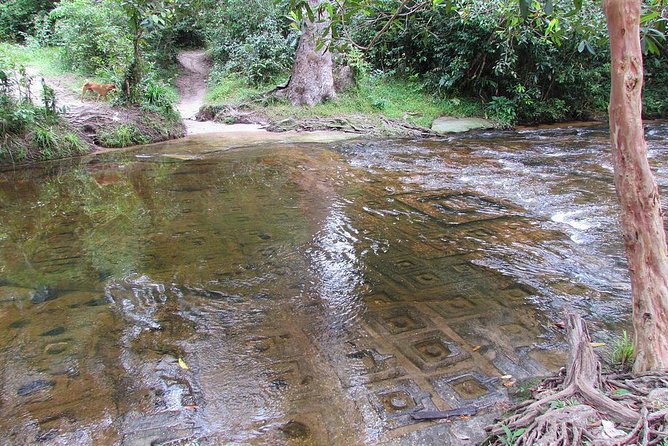 Private Kulen Mountain and Beng Mealea Temple Tour - Beng Mealea Jungle Ruins: The Big Contrast After Phnom Kulen