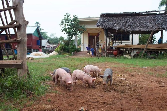 Private Ox Cart Ride and Local village Experience from Siem Reap - Learning About Khmer Village Life, Including School Talk