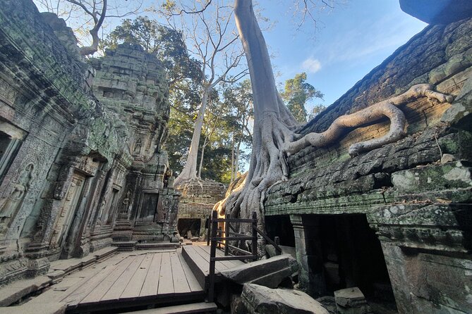 Private Sunrise and Sunset Angkor Park Tour with Rest Mid-Day - Price breakdown and value: what the $68 really buys