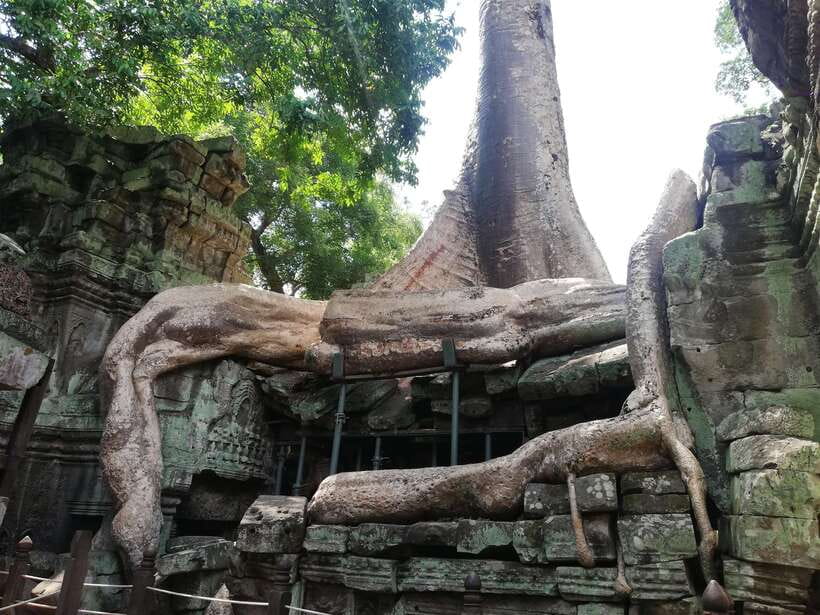 Private Sunrise Angkor Wat Tour - Ta Prohm, the Tomb Raider Temple, and the spung roots