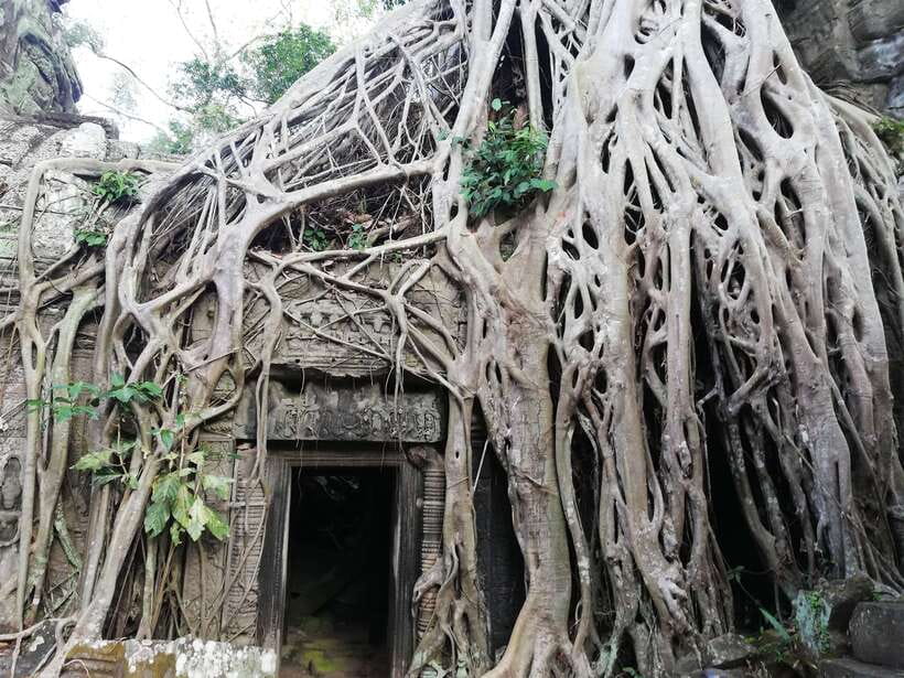 Private Sunrise Angkor Wat Tour - Hotel pickup, van time, and skip-the-line entry that actually saves energy