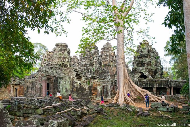 Private sunrise 'small tour' of Angkor Wat with car or van & Guide - Banteay Kdei: monk cells and silk cotton tree roots