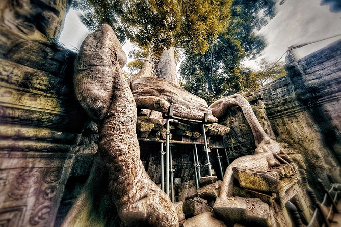 Private sunrise tour to Angkor Wat & other highlights with Professional Guide. - Pickup and ride comfort in an early start day