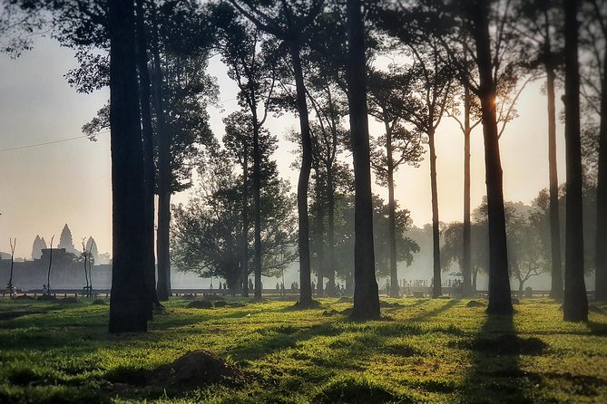Private sunrise tour to Angkor Wat & other highlights with Professional Guide. - Stop 4: Ta Nei, a quieter jungle-temple pause