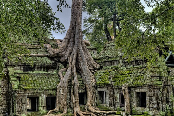 Private sunrise tour to Angkor Wat & other highlights with Professional Guide. - Price and logistics: what you’re paying for