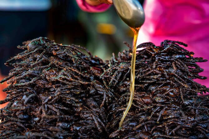 Private Taxi Phnom Penh To Siem Reap Include Floating Villages - Stop 1: Skuon Spider Sanctuary, Snacks Optional, Spiders Real