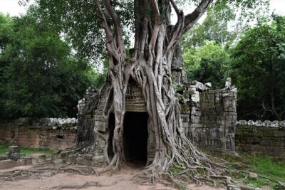 Private Taxi Siem Reap to Phnom Penh, Reliable Driver, Transfer