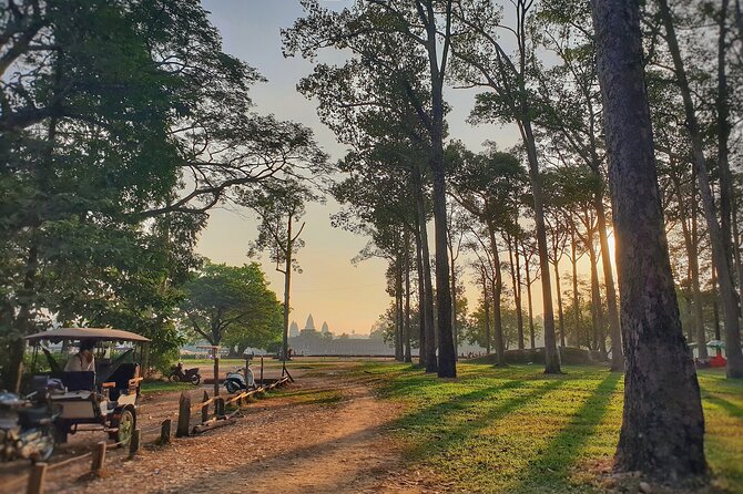 Private Temples Guided Tour (Angkor Wat, Ta Prom & Angkor Thom) - Sunrise at Angkor Wat, and how the timing changes everything