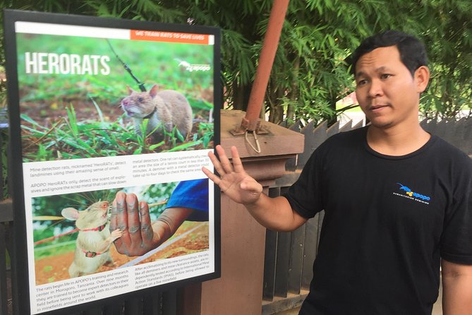 Private Tour: HERO Rats & Angkor National Museum - The guide is the difference between seeing and understanding