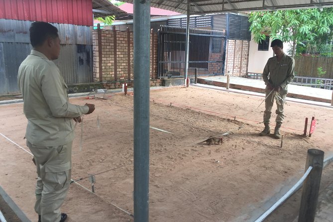 Private Tour: HERO Rats & Angkor National Museum - Who this tour suits best