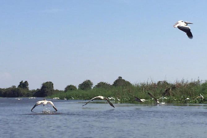 Private Tour Prek Toal Bird Sanctuary Off Beaten Track - Who This Tour Fits Best (and Who Should Skip It)