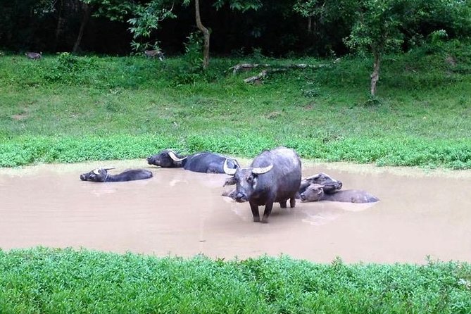 Private Tour to Kompong Phluk Off Beaten Track - Price and value: is $169 per group worth it?
