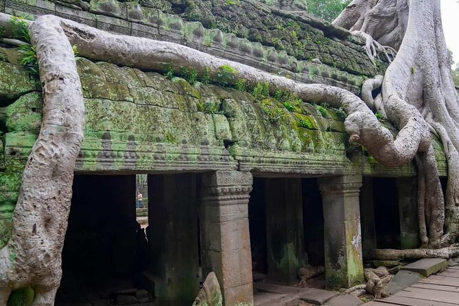 Private Tours Angkor Wat For 3 Days - Who this tour suits best