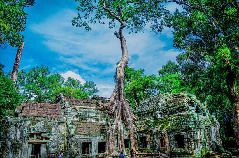 Seat-In-Coach: Small Circuit tour with Sunrise at Angkor Wat - Ta Prohm jungle temple: why this stop feels different