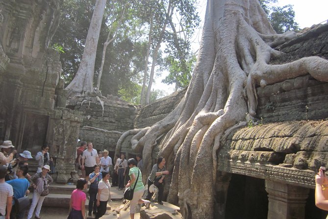 Shared Tour to Angkor Wat, Bayon and Ta Prohm Temples - Stop 2: Angkor Thom South Gate (Tonle Oum) and the 3-kilometer city idea