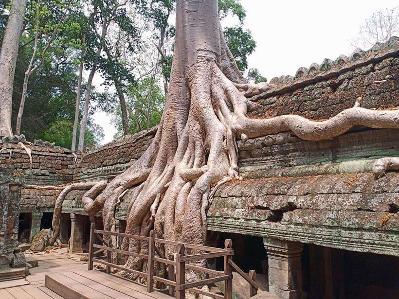 Sharing Trip to Angkor Temple with sunset - Key Things I’d Book This For