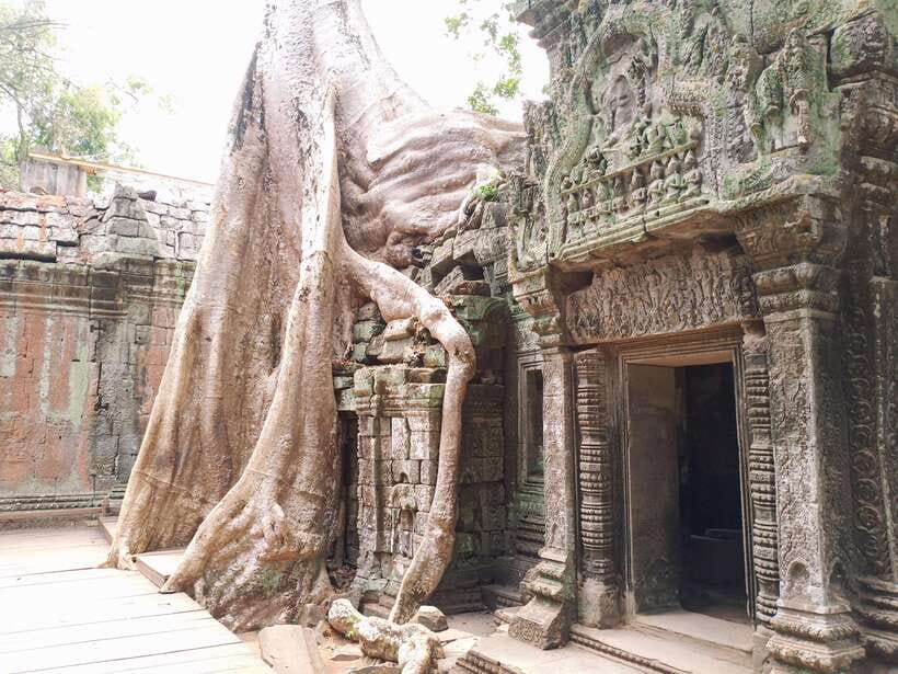 Sharing Trip to Angkor Temple with sunset - Baphuon, Phimeanakas, and the Terrace of the Elephants: Views Between the Giants