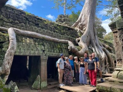 1-Day Angkor Tour with French-Speaking Guide