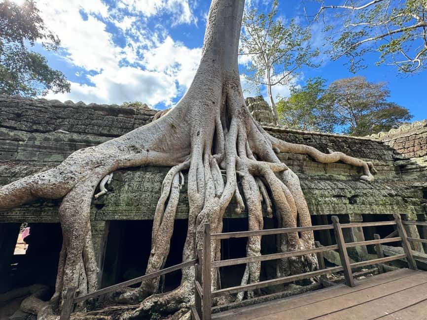 Siem Reap: 1-Day Angkor Wat Group Tour with Spanish Guide - Spanish-Speaking Guides: What Makes the Difference at Angkor