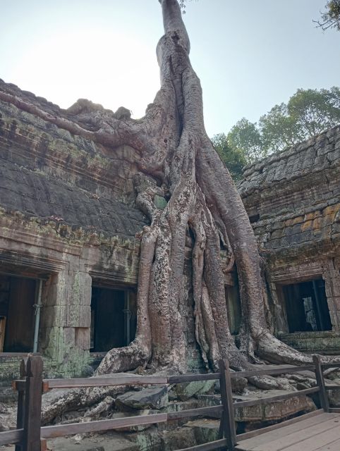 Siem Reap: 1-Day Angkor Wat Tour in Portuguese - Lunch break: the one part you need to plan around