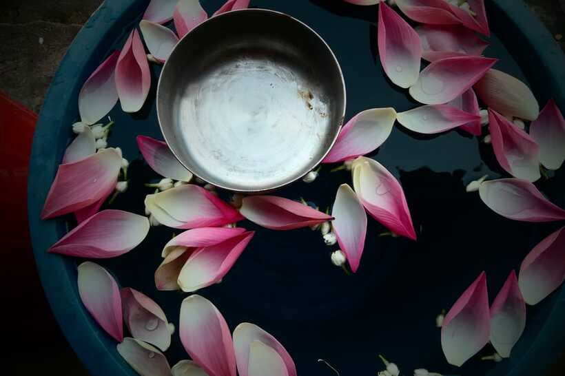 Siem Reap: 1-Hour Cambodian Buddhist Water Blessing - Making sense of what you’re doing: Buddhism, animism, and the goal of cleansing