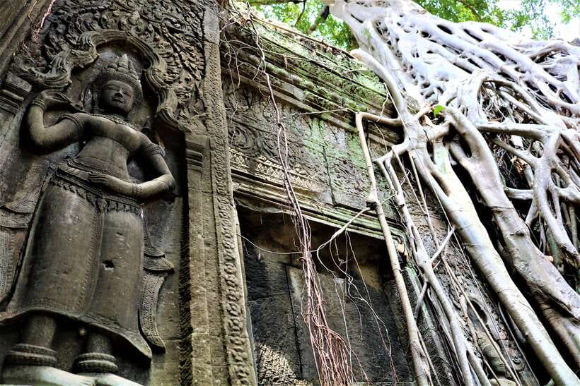 Siem Reap: 2-Day Temple Highlights Sunrise and Sunset Option - Ta Prohm, Ta Nei, and Angkor Thom: facing the crowd with a plan