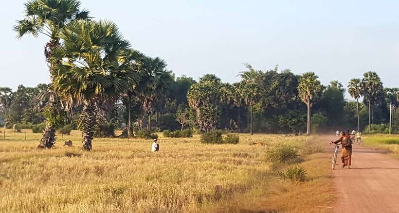 Siem Reap: 3-Hour Ancient Trails Motorbike Tour - Key things I’d count on before you book