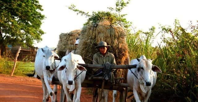 Siem Reap: 3-Hour Ancient Trails Motorbike Tour - The start in Krong Siem Reap: pickup, short ride, then real riding