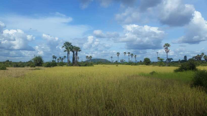 Siem Reap: 3-Hour Ancient Trails Motorbike Tour - Village roads and the Pradak market stop
