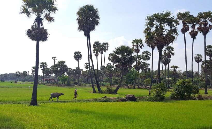 Siem Reap: 6-Hour Easy Rider Motorbike Tour - Key points before you go